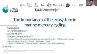 Importance of bioaccumulation in marine mercury cycling